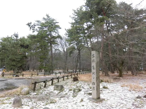 一夜の松原由来碑