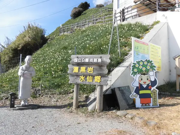 灘黒岩水仙郷