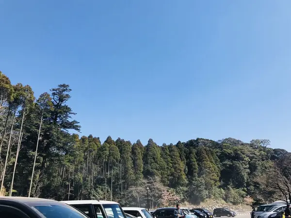 自然に囲まれて🌳