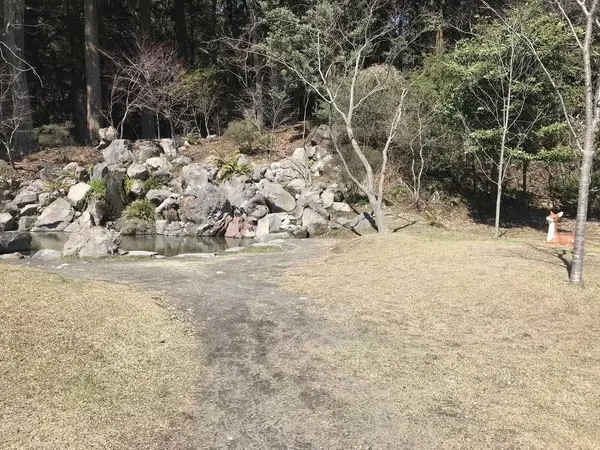 近くには御土産店も！