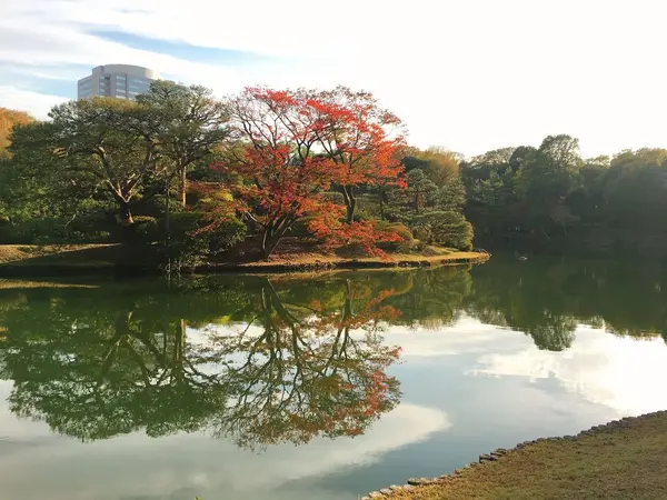 お散歩