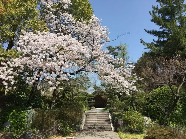 門から玄関を望む