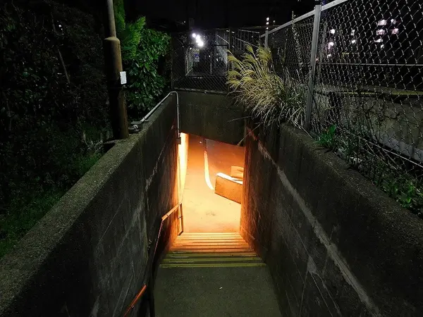 枯れ尾花