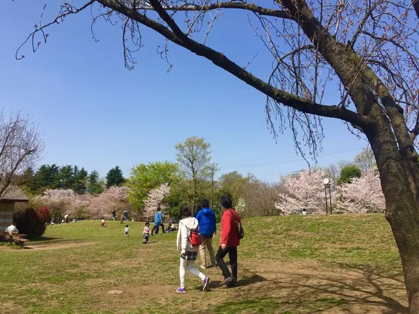 小さな丘のある広場♩