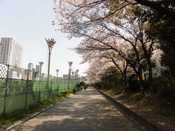 花見スポット