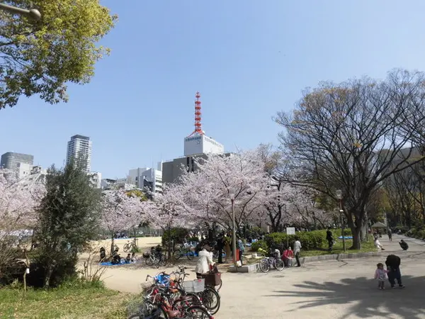 花見スポット