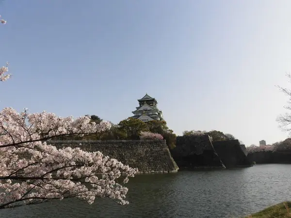 花見の名所