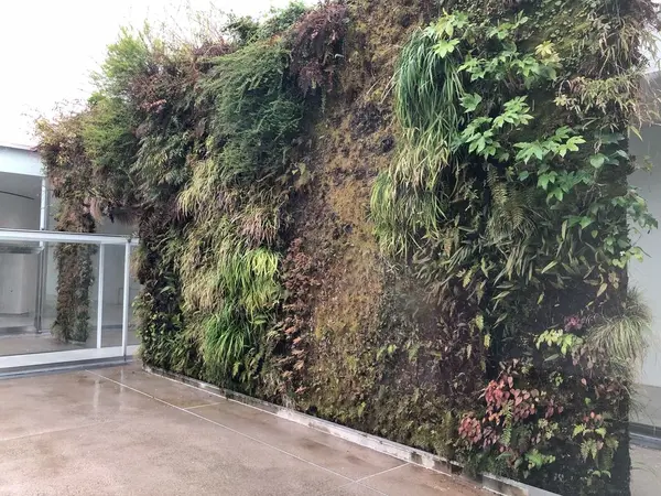 パトリック・ブラン「緑の橋」