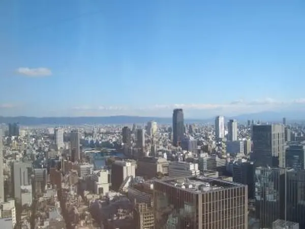 地上３３階から眺める景色