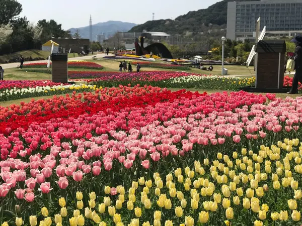 大地の虹