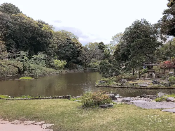 大きい池と緑