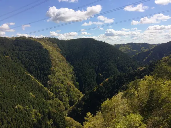 橋からの景観