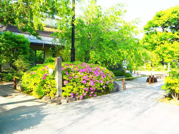 綺麗なお寺