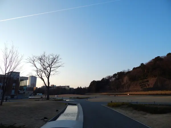 しいのき緑地から望むいもり堀と石垣