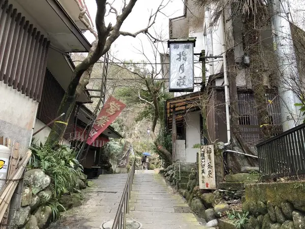 指月殿にいくまでが渋い！