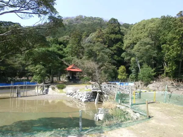 雨井戸