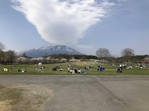 広い