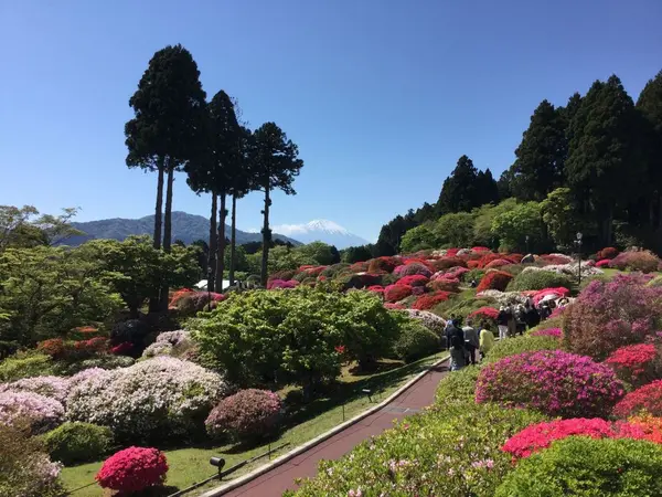 コントラスト