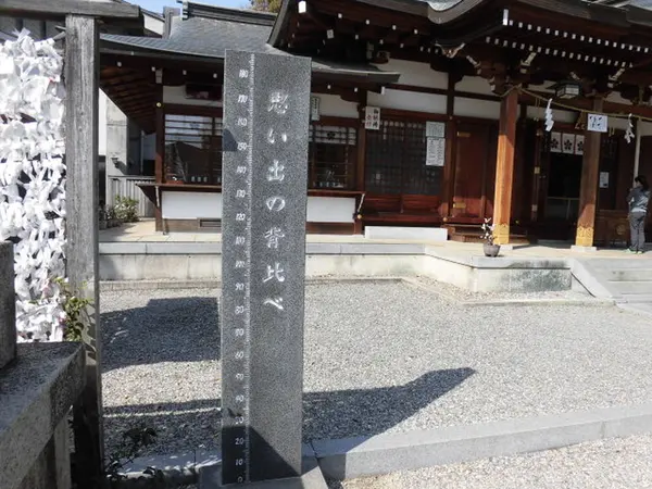 成長とともに