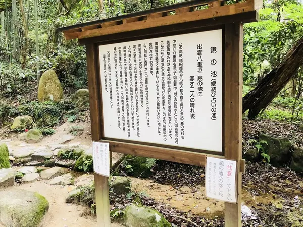 スポット内のおすすめ