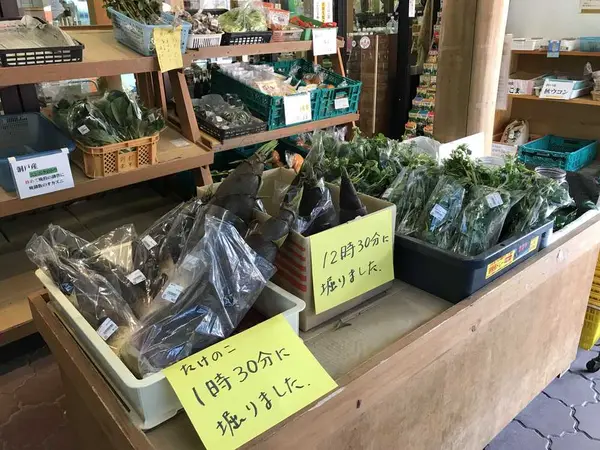 スポット内のおすすめ