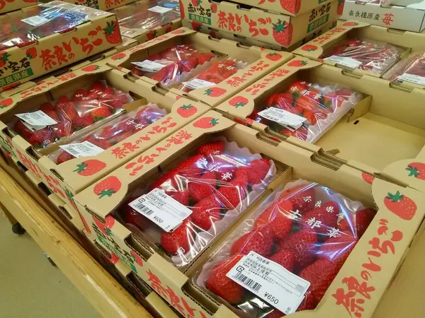 いちご・イチゴ・苺🍓