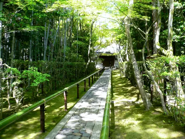 参道がステキ…！