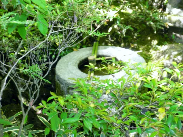 忠興さんのお気に入り…！