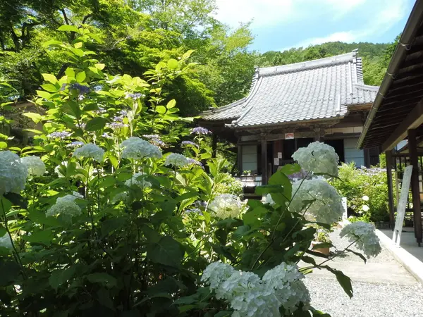 薬師如来の伝説