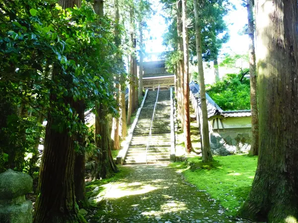 歴史を感じる境内