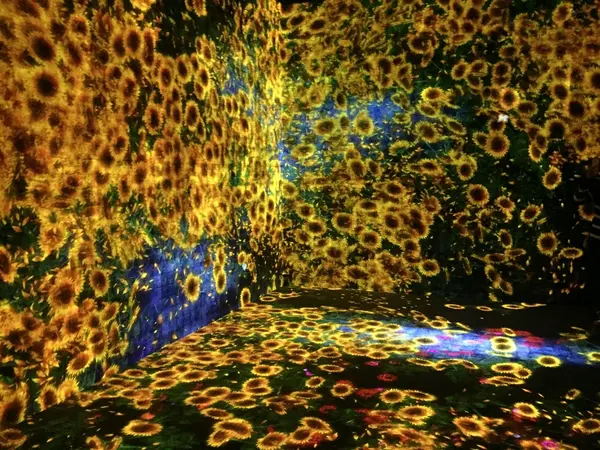 暗がりの中入っていくと...!