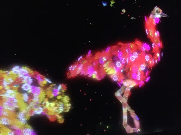 歩いているだけで楽しい