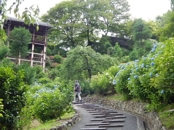 白山桜あじさい苑