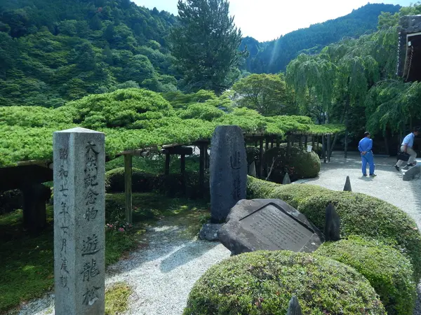 天然記念物「遊龍の松」