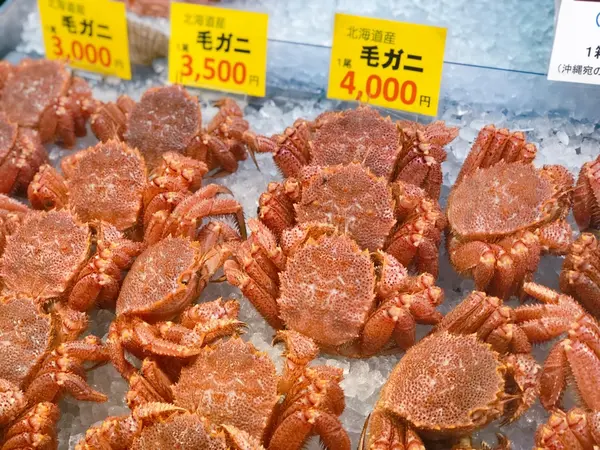 スポット内のおすすめ