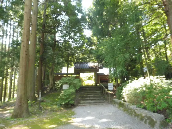 瞑想の道