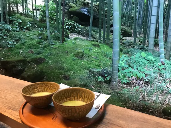 竹林＋お抹茶＝🇯🇵