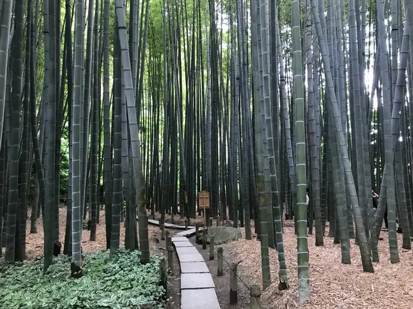 人が写り込まないようタイミングを見計らって