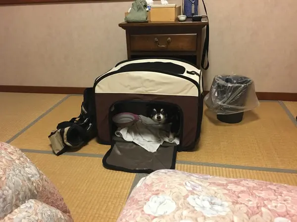 客室・わんこグッズ