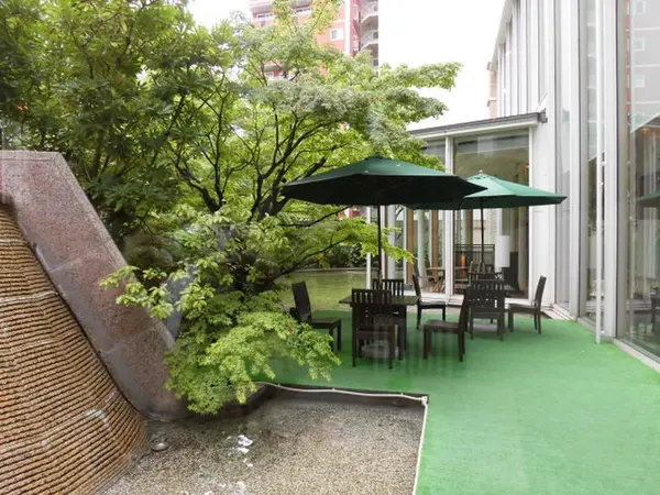 広々とした庭