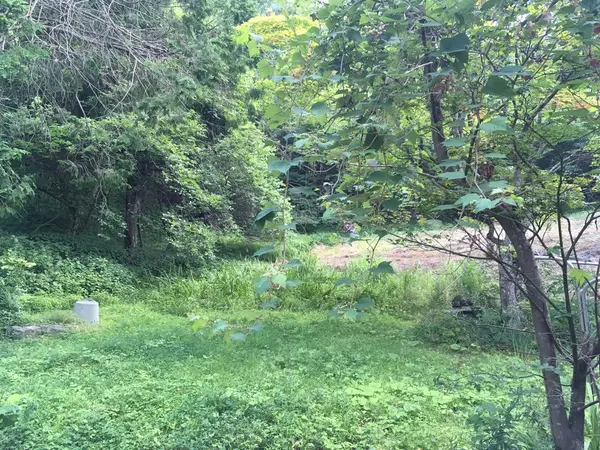 完全に山