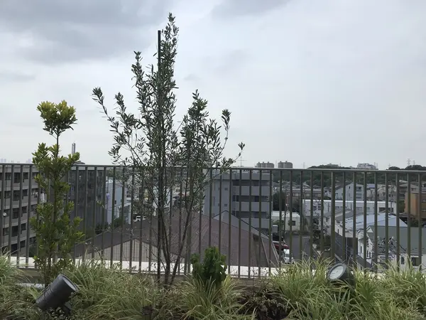 足湯テラスからの展望です。