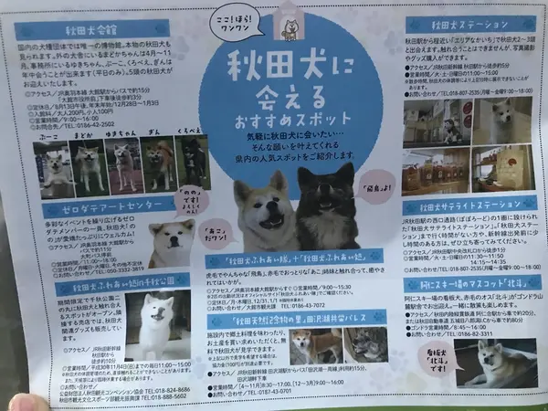 スポット内のおすすめ