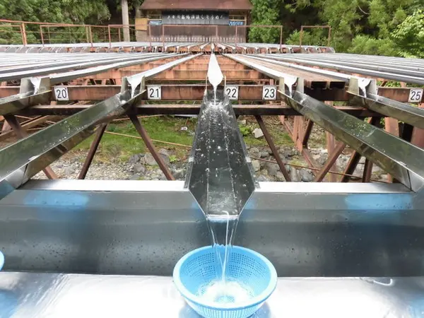 しばらく待っていると