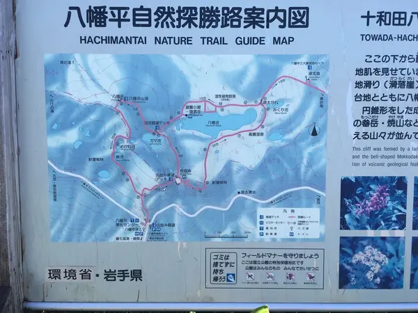 登山道