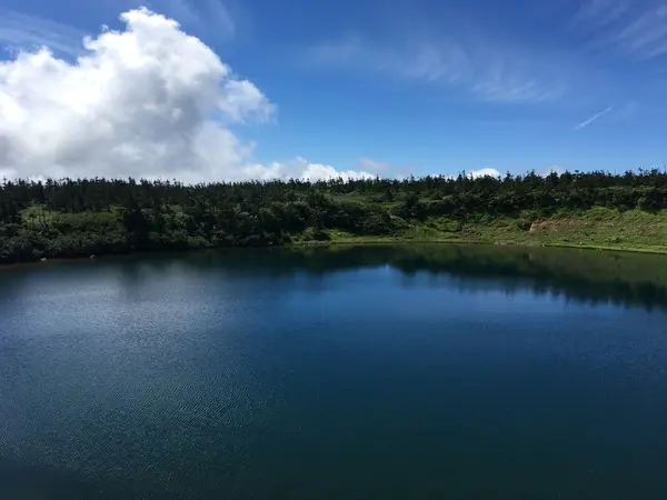 ガマ沼