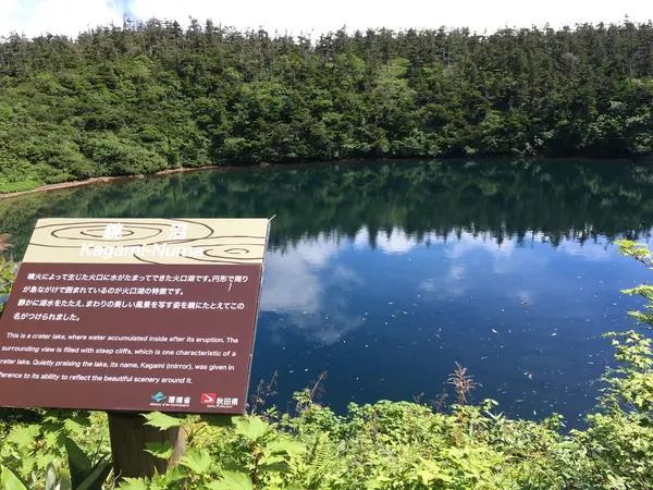 鏡沼