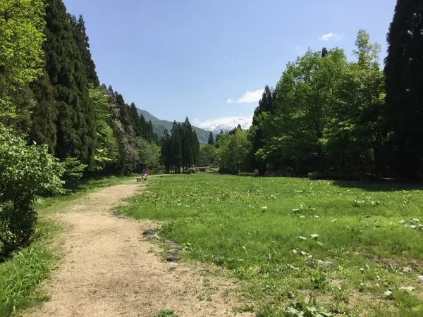 極楽までの道