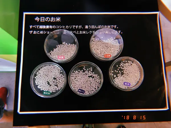 スポット内のおすすめ