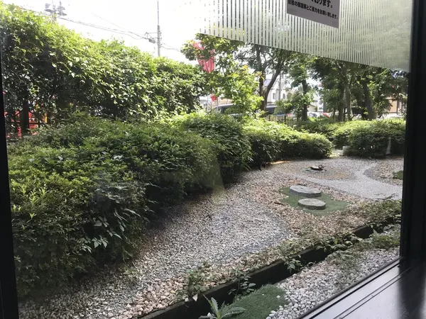 座敷から見える庭